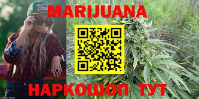 Альфа ПВП Кандалакша