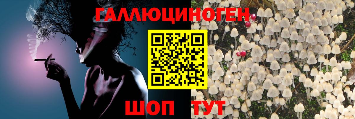 Лабинск  Псилоцибиновые грибы Cubensis  Вход с VPN 